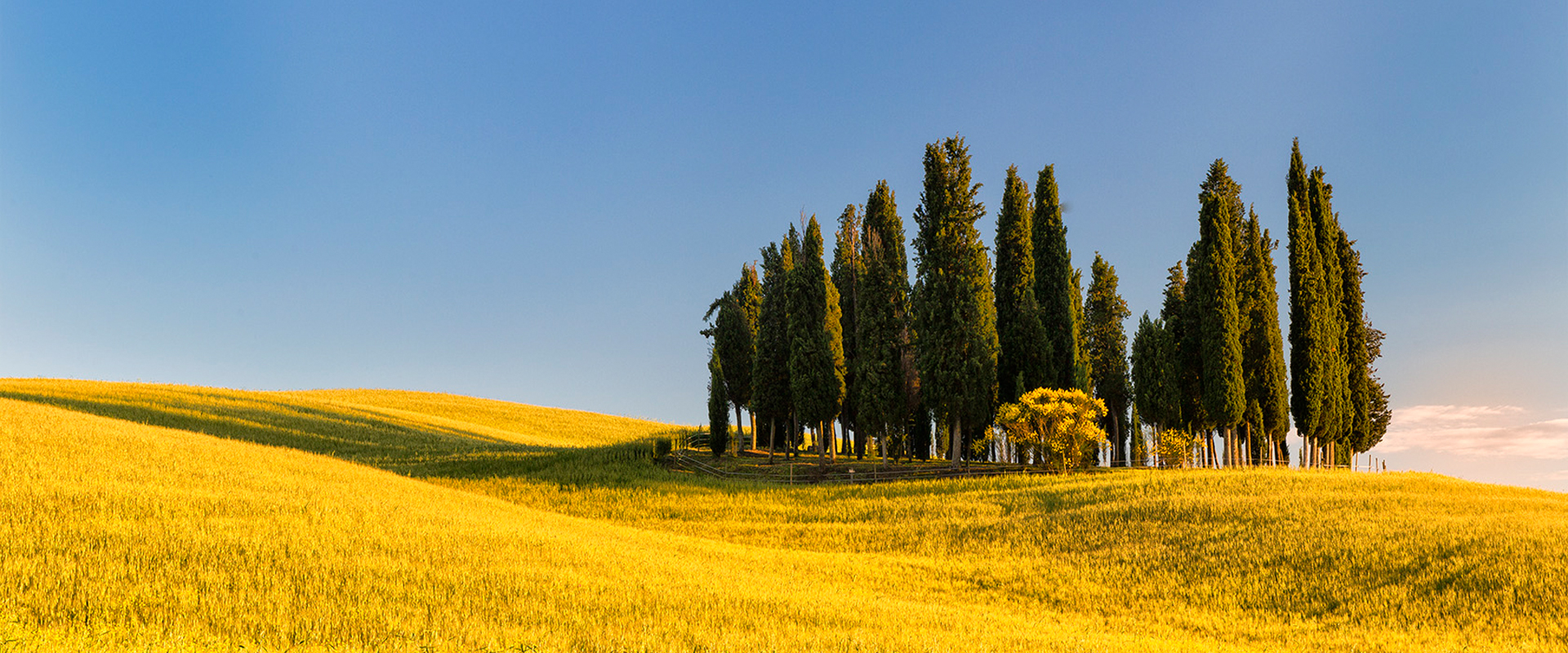 Edu Moreira - Política de Privacidade