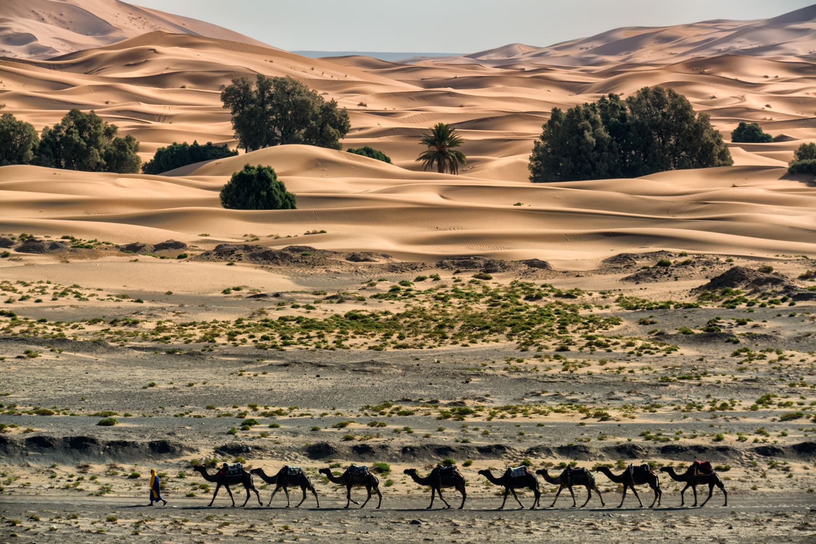 Edu Moreira - Erg Chebbi | 6th FAPA (Fine Art Photography Awards) - Travel Nominee