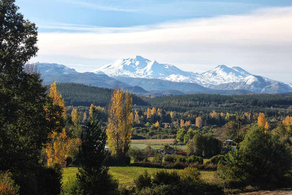 Edu Moreira - Chillán, Chile