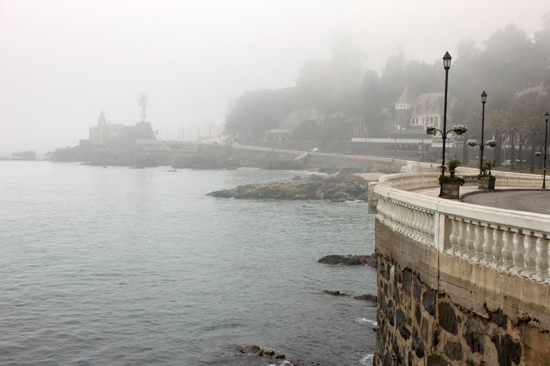 Edu Moreira - Viña del Mar (a Cidade das Flores), Chile