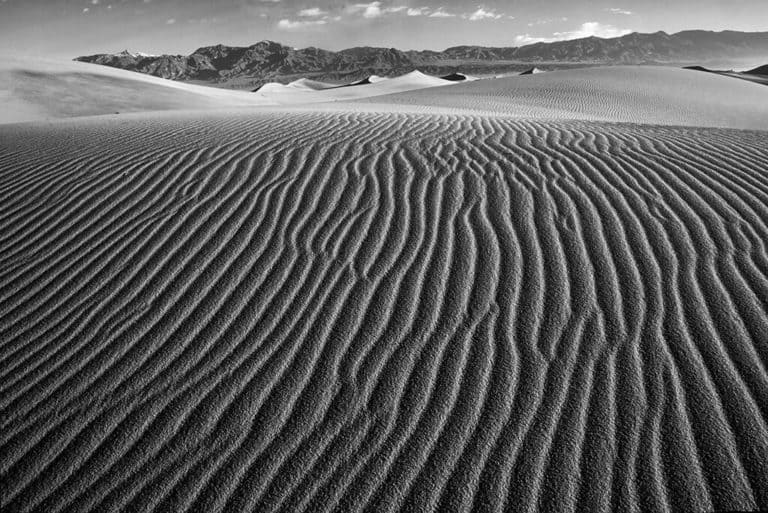 Edu Moreira - Meus Mestres - © Edward Weston