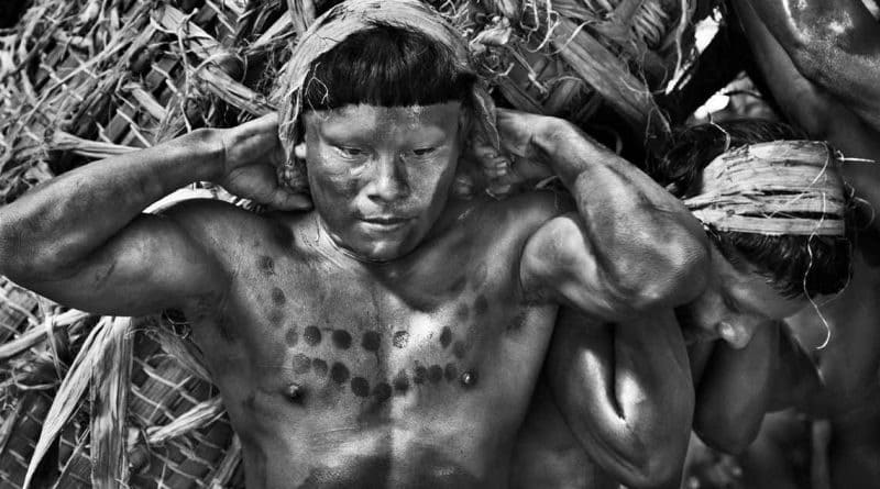 Edu Moreira - Sebastião Salgado