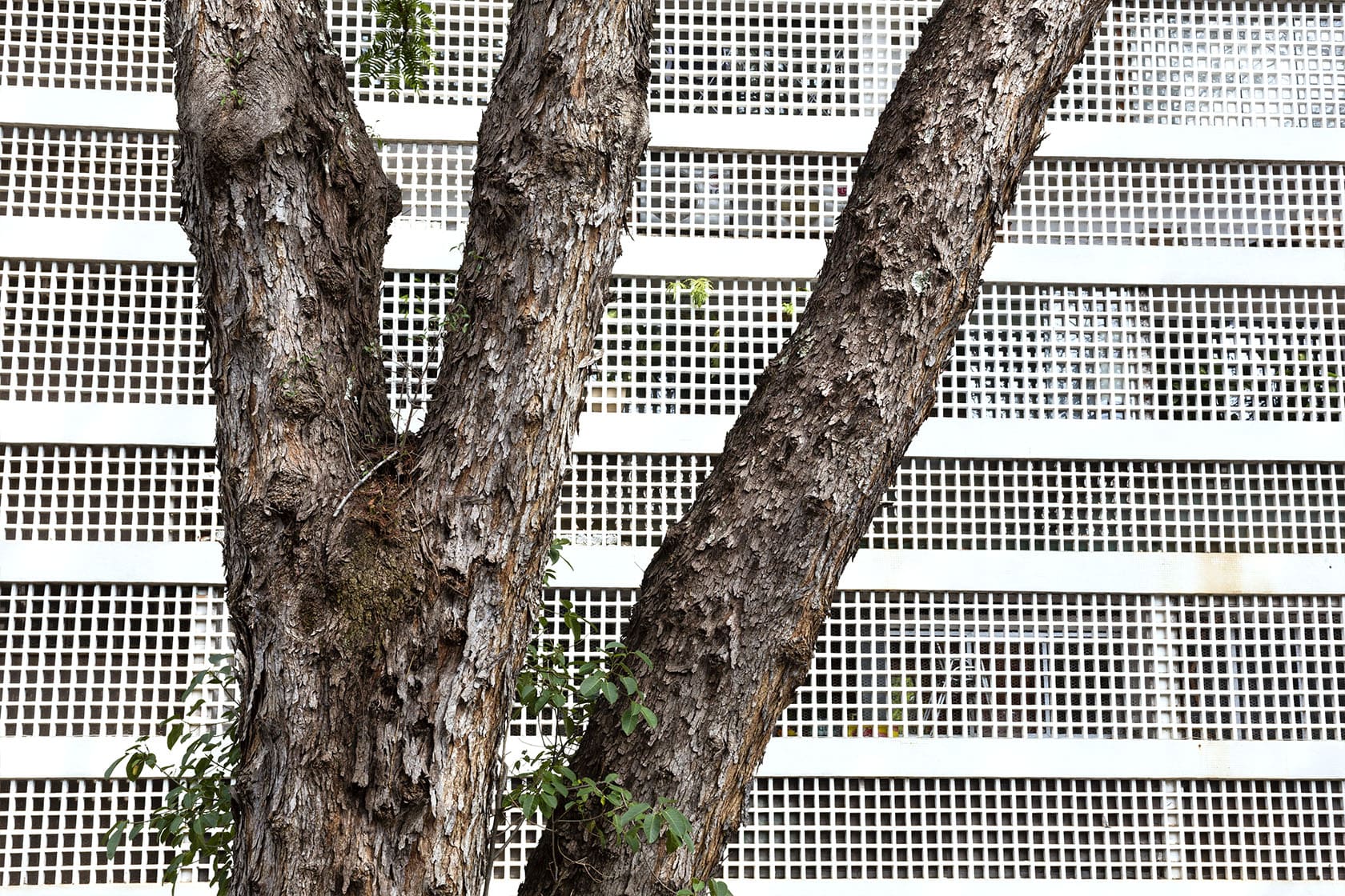 Edu Moreira - Exercícios em fotografia: 100 passos para a criatividade