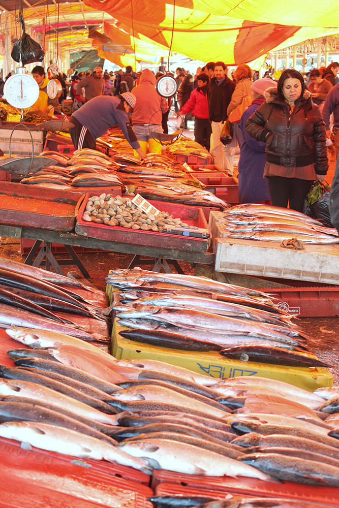 Edu Moreira - Mercado em Valdívia, Chile