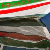 <i class="fa-regular fa-image orange1"></i> Águia de Fogo: lateral de barco de pesca e seu reflexo na água (Paraty, Rio de Janeiro, Brasil). / <em>Águia de Fogo (Fire Eagle): side of a fishing boat and its reflection on the water (Paraty, Rio de Janeiro, Brazil).</em> Edu Moreira - Barco Águia de Fogo