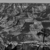 <i class="fa-regular fa-image orange1"></i> A árvore perdida: talvez essa árvore perdida expresse a imensidão do Grand Canyon National Park (Arizona, EUA). A sua real dimensão é inimaginável: o parque estende-se por mais de 440 km, com até 29 km de largura e mais de 1 km de profundidade! / <em>The lone tree: perhaps this solitary tree captures the vastness of Grand Canyon National Park (Arizona, USA). Its true scale is unimaginable: the park stretches over 440 kilometers, with up to 39 kilometers width and a depth of more than 1,5 kilometers!</em> Edu Moreira - Grand Canyon - Arizona, EUA
