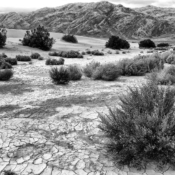 <i class="fa-regular fa-image orange1"></i> O Death Valley National Park (Califórnia, EUA) é tão inóspito e agreste que dizem que Deus o esqueceu. A Mesquite Flat é a menor e mais acessível das cinco dunas de areia. Seu ponto central fica a 85 metros abaixo do nível do mar, e suas fontes de água são salgadas. No verão, a temperatura pode ultrapassar 52 graus Celsius! / <em>Death Valley National Park (California, USA) is so inhospitable and harsh that some say God forgot it. Mesquite Flat is the smallest and most accessible of the five sand dunes. Its central point sits 85 meters below sea level, and its water sources are salty. In summer, temperatures can exceed 52°C!</em> Edu Moreira - Death Valley - Califórnia, EUA