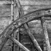<i class="fa-regular fa-image orange1"></i> Twenty Mule Wagon: fotografia feita no Death Valley National Park (Califórnia, EUA). Vinte mulas puxavam esse carroção gigantesco, usado para transportar o minério de boro retirado das minas da região. Era tão grande que exigia todas essas mulas para se mover. / <em>Twenty Mule Wagon: photograph taken at Death Valley National Park (California, USA). Twenty mules pulled this massive wagon, used to haul borax ore extracted from the region's mines. It was so large that it required all those mules to move.</em> Edu Moreira - Ansel Adams