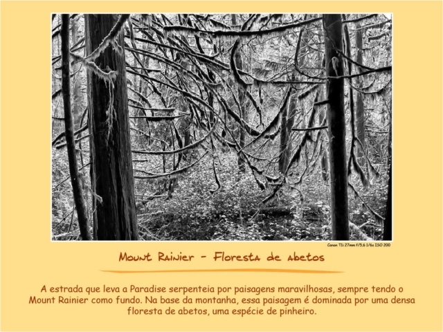 Edu Moreira - Revisitando Ansel Adams