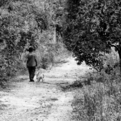 <i class="fa-regular fa-image orange1"></i> Caminho, Água Boa II, Rio Pardo de Minas, MG. / <em>Pathway, Água Boa II village, Rio Pardo de Minas, Minas Gerais.</em> Edu Moreira - Geraizeiros