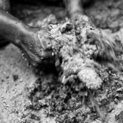 <i class="fa-regular fa-image orange1"></i> Amassando o barro, Água Boa II, Rio Pardo de Minas, MG. / <em>Kneading the clay, Agua Boa II village, Rio Pardo de Minas, Minas Gerais.</em> Edu Moreira - Geraizeiros