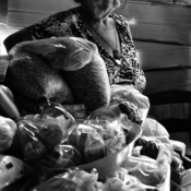 <i class="fa-regular fa-image orange1"></i> Mantimentos, Feira de Rio Pardo, Rio Pardo de Minas, MG. / <em>Groceries, Popular market, Rio Pardo de Minas, Minas Gerais.</em> Edu Moreira - Geraizeiros