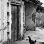 <i class="fa-regular fa-image orange1"></i> Comunidade de Muquém, Rio Pardo de Minas, MG. / <em>Muquem village, Rio Pardo de Minas, Minas Gerais.</em> Edu Moreira - Geraizeiros