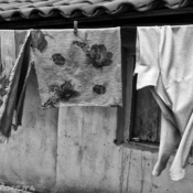 <i class="fa-regular fa-image orange1"></i> Varal, Muquém, Rio Pardo de Minas, MG. / <em>Clothesline, Muquem village, Rio Pardo de Minas, Minas Gerais.</em> Edu Moreira - Povos Tradicionais do Cerrado