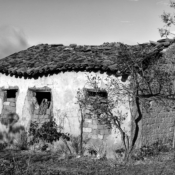 <i class="fa-regular fa-image orange1"></i> Velha casa de adobe, São Modesto, Montezuma, MG. / <em>Old adobe brick house, São Modesto village, Montezuma, Minas Gerais.</em> Edu Moreira - Geraizeiros