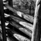 <i class="fa-regular fa-image orange1"></i> Cerca de curral, São Modesto, Montezuma, MG. / <em>Wood corral fence, São Modesto village, Montezuma, Minas Gerais.</em> Edu Moreira - Geraizeiros