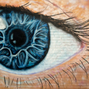 <i class="fa-regular fa-image orange1"></i> Olho (Wynwood Arts District, Miami, EUA). / <em>Eye (Wynwood Arts District, Miami, USA).</em> Edu Moreira - Graffiti - USA, Miami, Wynwood Arts District