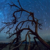 <i class="fa-regular fa-image orange1"></i> Riscos de estrelas no céu do Parque Nacional Death Valley (Califórnia, EUA) - 18 minutos de exposição. / <em>Star trail in the Death Valley National Park sky (Utah, USA) - 18 minutes of exposure.</em> Edu Moreira - Noturnas