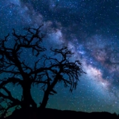 <i class="fa-regular fa-image orange1"></i> Via Láctea vista do Parque Nacional Grand Canyon (Arizona, EUA) - 25 segundos de exposição. / <em>Milky Way seen from the Grand Canyon National Park (Arizona, USA) - 25 seconds of exposure.</em> Edu Moreira - Noturnas
