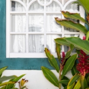 <i class="fa-regular fa-image orange1"></i> Detalhe de janela (Paraty, Rio de Janeiro, Brasil). / <em>Window detail (Paraty, Rio de Janeiro, Brazil).</em> Edu Moreira - Portas e Janelas - Brasil, RJ, Paraty