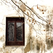 <i class="fa-regular fa-image orange1"></i> Janela (Suzhou, Jiangsu, China). / <em>Window (Suzhou, Jiangsu, China).</em> Edu Moreira - China, Jiangsu, Suzhou