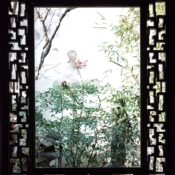 <i class="fa-regular fa-image orange1"></i> Janela para o jardim interno (Suzhou, Jiangsu, China). / <em>Inner garden window (Suzhou, Jiangsu, China).</em> Edu Moreira - China, Jiangsu, Suzhou