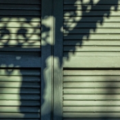 <i class="fa-regular fa-image orange1"></i> Sombra sobre detalhe de janela (Nova Orleans, Louisiana, EUA). / <em>Shadow over window detail (New Orleans, Louisiana, USA).</em> Edu Moreira - Portas e Janelas - EUA, Louisiana, Nova Orleans