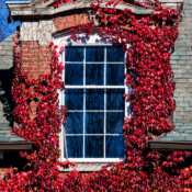 <i class="fa-regular fa-image orange1"></i> Janela (Maine, EUA). / <em>Window (Maine, USA).</em> Edu Moreira - Portas e Janelas - EUA, Maine