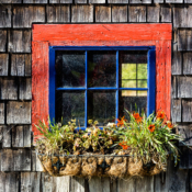 <i class="fa-regular fa-image orange1"></i> Janela (Maine, EUA). / <em>Window (Maine, USA).</em> Edu Moreira - EUA, Maine