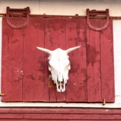 <i class="fa-regular fa-image orange1"></i> Detalhe de um antigo celeiro (Woodstock, Vermont, EUA). / <em>Detail of an old barn (Woodstock, Vermont, USA).</em> Edu Moreira - Portas e Janelas - EUA, Vermont, Woodstock