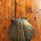 <i class="fa-regular fa-image orange1"></i> Detalhe de porta da Casa de las Conchas (Salamanca, Espanha). / <em>Door detail of the Casa de las Conchas (Salamanca, Spain).</em> Edu Moreira - Portas e Janelas - Espanha, Salamanca