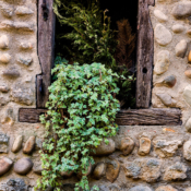 <i class="fa-regular fa-image orange1"></i> Janela (Pérouges, Ain, França). / <em>Window (Pérouges, Ain, France).</em> Edu Moreira - França, Ain, Pérouges