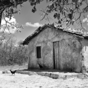 <i class="fa-regular fa-image orange1"></i> Casa de taipa, aldeia Pindaíba, São João Missões, MG / <em>Mud made house, Pindaíba indigenous village, Sao Joao das Missoes, Minas Gerais.</em> Edu Moreira - Povos Tradicionais do Cerrado