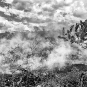<i class="fa-regular fa-image orange1"></i> Queimada para preparar a semeadura, prática comum entre os indígenas, aldeia Riachinho, São João Missões, MG. / <em>Burning the soil to prepare the sowing, common practice among indigenous people, Riachinho indigenous village, Sao Joao das Missoes, Minas Gerais.</em> Edu Moreira - Povos Tradicionais do Cerrado