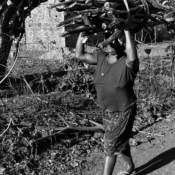 <i class="fa-regular fa-image orange1"></i> Carregando lenha, aldeia Vargem, São João Missões, MG. / <em>Carrying firewood, Vargem indigenous village, Sao Joao das Missoes, Minas Gerais.</em> Edu Moreira - Xacriabás