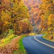 <i class="fa-regular fa-image orange1"></i> Cores de outono (Blue Ridge Parkway, Virginia, EUA). / <em>Fall colors (Blue Ridge Parkway, Virginia, USA).</em> Edu Moreira - EUA - Blue Ridge Parkway