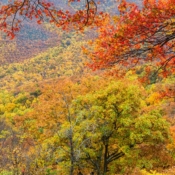 <i class="fa-regular fa-image orange1"></i> Cores de outono (Blue Ridge Parkway, Virginia, EUA). / <em>Fall colors (Blue Ridge Parkway, Virginia, USA).</em> Edu Moreira - EUA - Blue Ridge Parkway
