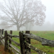 <i class="fa-regular fa-image orange1"></i> Neblina (Blue Ridge Parkway, North Carolina, EUA). / <em>Mist (Blue Ridge Parkway, North Carolina, USA).</em> Edu Moreira - EUA - Blue Ridge Parkway