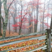 <i class="fa-regular fa-image orange1"></i> Brinegar Cabin (Blue Ridge Parkway, North Carolina, EUA / <em>USA</em>). Edu Moreira - EUA - Blue Ridge Parkway