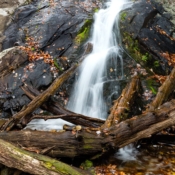 <i class="fa-regular fa-image orange1"></i> Falling Water Cascades (Blue Ridge Parkway, Virginia, EUA / <em>USA</em>). Edu Moreira - EUA - Blue Ridge Parkway