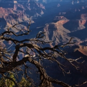 <i class="fa-regular fa-image orange1"></i> Mather Point, Grand Canyon National Park (Arizona, EUA / <em>USA</em>). Edu Moreira - EUA - Canyons e Desertos