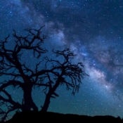 <i class="fa-regular fa-image orange1"></i> Via Láctea sobre Toroweap Overlook, Grand Canyon National Park (Arizona, EUA). / <em>Milky Way over Toroweap Overlook, Grand Canyon National Park (Arizona, USA).</em> Edu Moreira - EUA - Canyons e Desertos