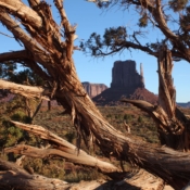 <i class="fa-regular fa-image orange1"></i> West Mitten Butte, Monument Valley Navajo Tribal Park (Arizona, EUA / <em>USA</em>). Edu Moreira - EUA - Canyons e Desertos