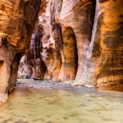 <i class="fa-regular fa-image orange1"></i> The Narrows, Zion National Park (Utah, EUA / <em>USA</em>). Edu Moreira - EUA - Canyons e Desertos