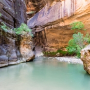 <i class="fa-regular fa-image orange1"></i> The Narrows, Zion National Park (Utah, EUA / <em>USA</em>). Edu Moreira - EUA - Canyons e Desertos