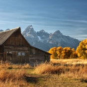 <i class="fa-regular fa-image orange1"></i> O histórico celeiro T. A. Moulton, Mormon Row Historic District, ao lado do Grand Teton National Park (Wyoming, EUA). / <em>The historic T. A. Moulton Barn, Mormon Row Historic District, outside Grand Teton National Park (Wyoming, USA).</em> Edu Moreira - EUA - Yellowstone e Grand Teton