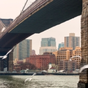 <i class="fa-regular fa-image orange1"></i> Ponte do Brooklin (Nova Iorque, Nova Iorque, EUA). / <em>Brooklin Bridge (New York, New York, USA).</em> Edu Moreira - EUA - Nova Iorque