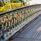 <i class="fa-regular fa-image orange1"></i> Central Park (Nova Iorque, Nova Iorque, EUA / <em>New York, New York, USA</em>). Edu Moreira - EUA - Nova Iorque