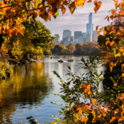 <i class="fa-regular fa-image orange1"></i> Central Park (Nova Iorque, Nova Iorque, EUA / <em>New York, New York, USA</em>). Edu Moreira - EUA - Nova Iorque