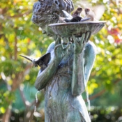 <i class="fa-regular fa-image orange1"></i> Passarinhos tomando banho em uma fonte, Central Park (Nova Iorque, Nova Iorque, EUA). / <em>Birds playing in a water fountain, Central Park (New York, New York, USA).</em> Edu Moreira - EUA - Nova Iorque